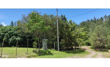 CAMINO AL VALLE / RIO LA POMA / FINCA CON CASA / 2329M2 / DH