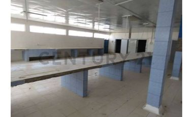 TERRENO PRIMERA LINEA COSTA