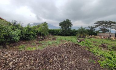 lote en venta en recta corozal. Cod V28968