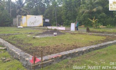 Tanah kavling murah dari 100jt seputaran Krembangan Kulon Progo