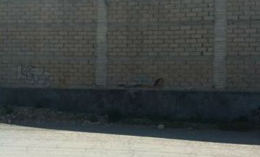 BODEGA EN RENTA DE 600 M2