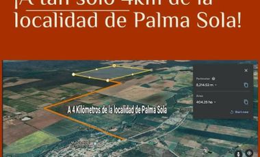 Venta-Finca 370 ha- Real De Los Toros- Palma Sola-Jujuy