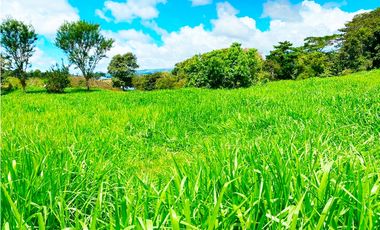 Venta de Finca Alto de Monte Lirio Tierras Altas Chiriqui