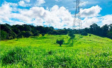 Venta de Finca Alto de Monte Lirio Tierras Altas Chiriqui