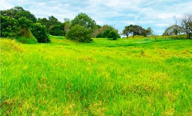 Venta de Finca Alto de Monte Lirio Tierras Altas Chiriqui
