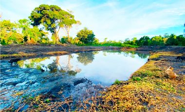 Venta de Finca Alto de Monte Lirio Tierras Altas Chiriqui