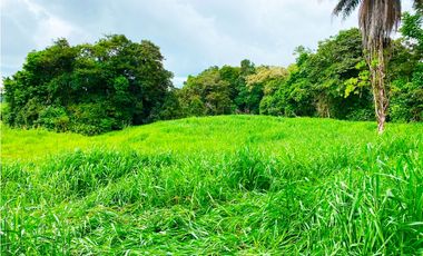 Venta de Finca Alto de Monte Lirio Tierras Altas Chiriqui