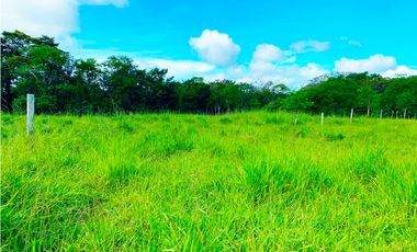 Venta de Finca Alto de Monte Lirio Tierras Altas Chiriqui