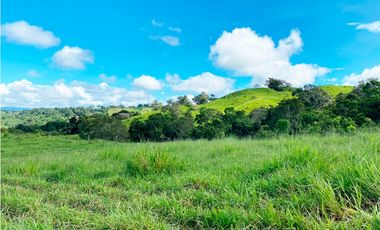 Venta de Finca Alto de Monte Lirio Tierras Altas Chiriqui