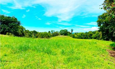 Venta de Finca Alto de Monte Lirio Tierras Altas Chiriqui