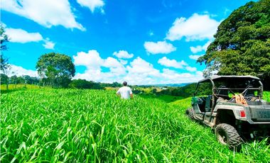 Venta de Finca Alto de Monte Lirio Tierras Altas Chiriqui