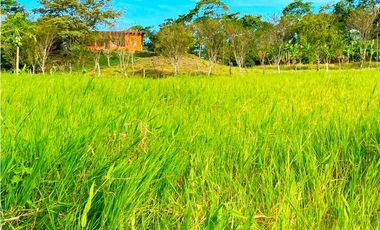 Venta de Finca Alto de Monte Lirio Tierras Altas Chiriqui