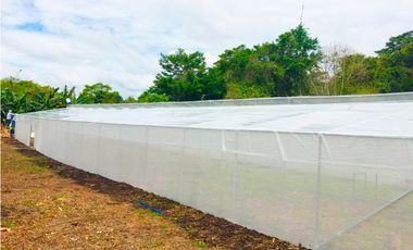 Venta de Finca Alto de Monte Lirio Tierras Altas Chiriqui