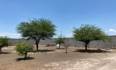 SE VENTA QUINTA, TERRENO  EN EJIDO MORELOS  2  MATAMOROS COAH.