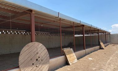 SE VENTA QUINTA, TERRENO  EN EJIDO MORELOS  2  MATAMOROS COAH.