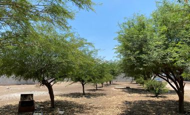 SE VENTA QUINTA, TERRENO  EN EJIDO MORELOS  2  MATAMOROS COAH.