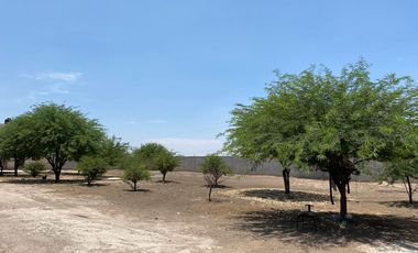 SE VENTA QUINTA, TERRENO  EN EJIDO MORELOS  2  MATAMOROS COAH.