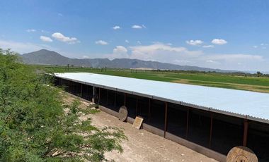 SE VENTA QUINTA, TERRENO  EN EJIDO MORELOS  2  MATAMOROS COAH.