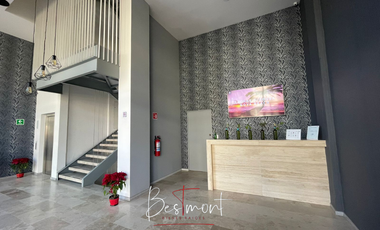 Locales en renta en Plaza Comercial TZN2