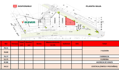 Locales en renta en Plaza Comercial TZN2