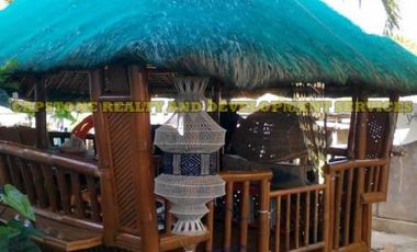 House and Lot for with Pool, San Juan, La Union