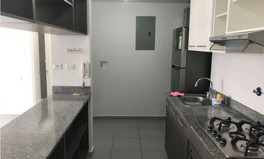 APARTAMENTO ALQUILER O VENTA  EL BOSQUE 2 RECMARAS PH AVIÑON TOWERS