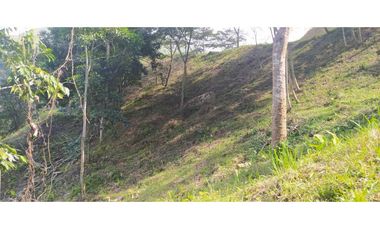 VENTA LOTE TITIRIBI, SUROESTE ANTIOQUEÑO