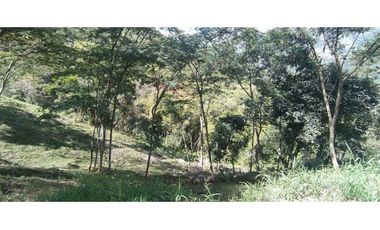 VENTA LOTE TITIRIBI, SUROESTE ANTIOQUEÑO
