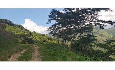 VENTA LOTE TITIRIBI, SUROESTE ANTIOQUEÑO