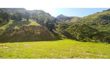 VENTA LOTE TITIRIBI, SUROESTE ANTIOQUEÑO