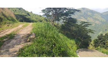 VENTA LOTE TITIRIBI, SUROESTE ANTIOQUEÑO