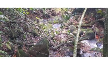 VENTA LOTE TITIRIBI, SUROESTE ANTIOQUEÑO