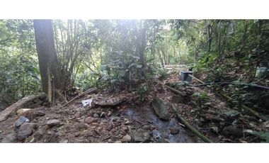 VENTA LOTE TITIRIBI, SUROESTE ANTIOQUEÑO