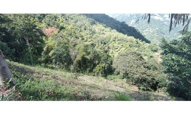 VENTA LOTE TITIRIBI, SUROESTE ANTIOQUEÑO