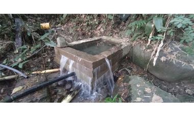 VENTA LOTE TITIRIBI, SUROESTE ANTIOQUEÑO