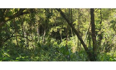 VENTA LOTE TITIRIBI, SUROESTE ANTIOQUEÑO