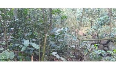 VENTA LOTE TITIRIBI, SUROESTE ANTIOQUEÑO
