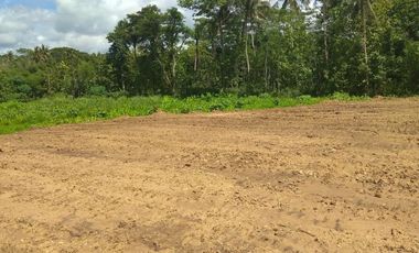 100 Jt-an, Legalitas SHM: Dekat SMPN 2 Bojong-Pekalongan