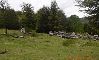 Sitio en Venta en Rio Panqui