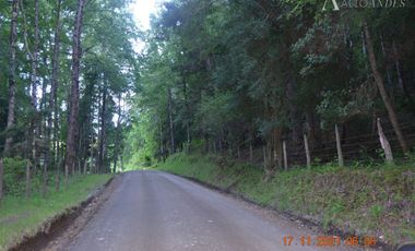 Sitio en Venta en Rio Panqui