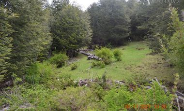 Sitio en Venta en Rio Panqui