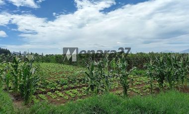 Kavling siap bangun cluster bandung utara view ok