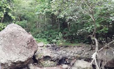 land for sale cheap price river and jungle view in Bali