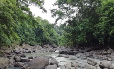 land for sale cheap price river and jungle view in Bali