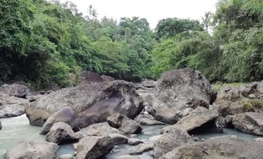 land for sale cheap price river and jungle view in Bali
