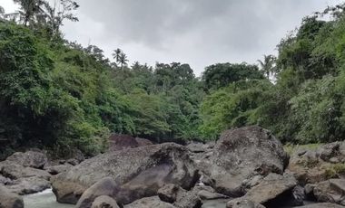 land for sale cheap price river and jungle view in Bali