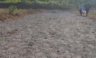 Harga Promo Legalitas SHM Dekat SMP N 5 Brebes