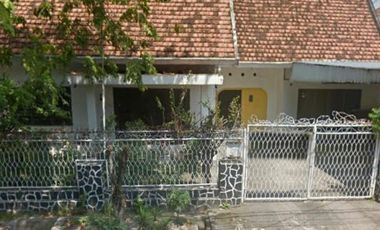Rumah disewakan