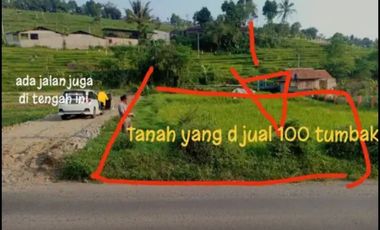 Tanah murah 1400m ngamprah Bandung barat shm akses terjangkau