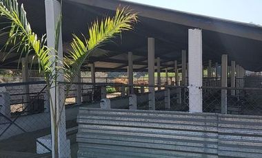 RANCHO EN VENTA EN TLALTIZAPAN ZARAGOZA MORELOS